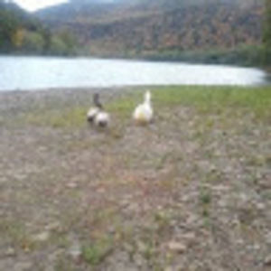 Meet your Posher, Matt